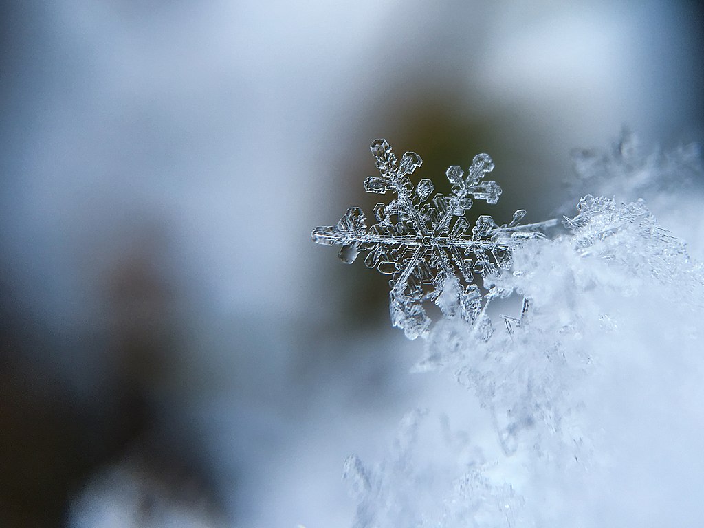 A snowflake with blurred background by Aaron Burden